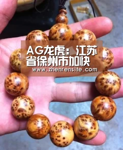 AG龙虎:江苏省徐州市加快实施职业教育优化工程(图1) AG真人