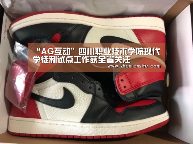 AG轮盘