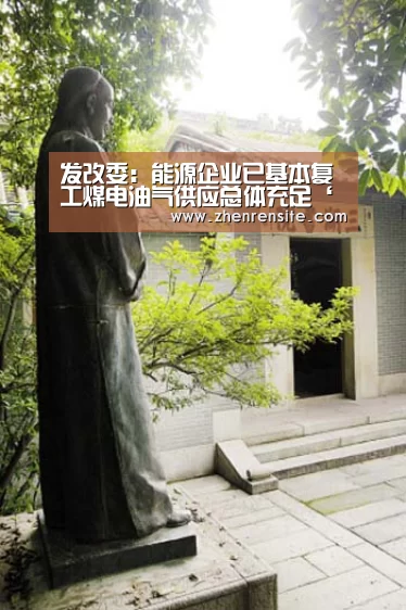 发改委:能源企业已基本复工煤电油气供应总体充足‘AG互动’(图2) AG龙虎
