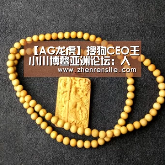 【AG龙虎】搜狗CEO王小川博鳌亚洲论坛:人工智能和虚拟现实产业或将爆发(图3) AG龙虎