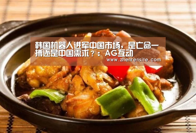 韩国机器人进军中国市场,是亡命一搏还是中国需求?:AG互动(图2) AG轮盘
