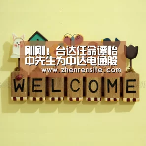 刚刚!台达任命谭怡中先生为中达电通股份有限公司总经理:AG龙虎(图4) AG轮盘