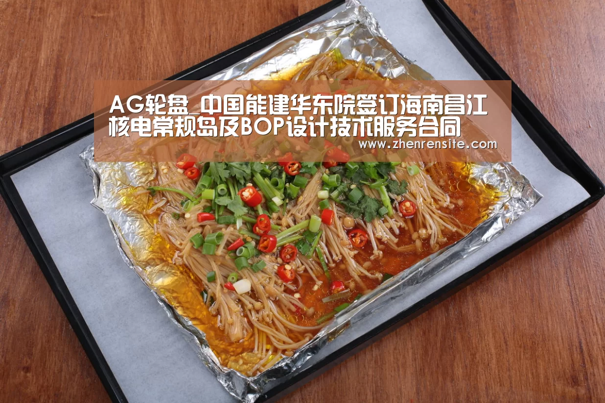 AG轮盘_中国能建华东院签订海南昌江核电常规岛及BOP设计技术服务合同(图2) AG龙虎