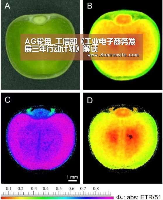 AG轮盘_工信部《工业电子商务发展三年行动计划》解读(图4) AG真人